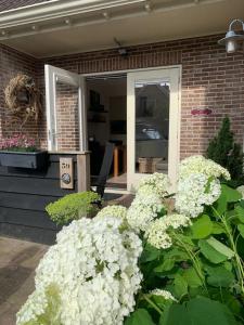 Vakantiewoning Domburg DO66