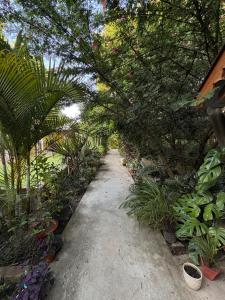 Lokosha Resort - The Green Destination