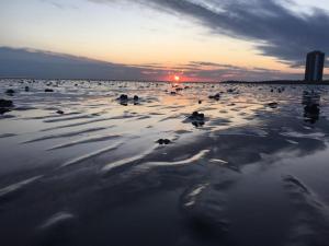 Ferienwohnung Meeresidyll