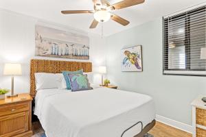 Perching Pretty at Sunbird