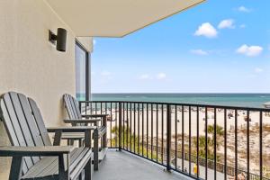 Perching Pretty at Sunbird