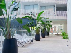 Alto Grande Del Arte 01080