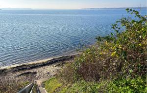 Awesome Home In Egernsund With House Sea View