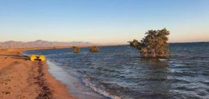 Nakhlat Etaal Camp - نخلة التل كامب