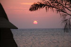 Nakhlat Etaal Camp - نخلة التل كامب