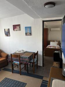 Garden One Bedroom Apartment