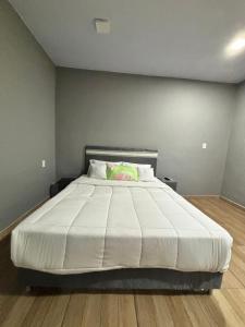 Milano 581 - Hospedaje temporal en Asunción