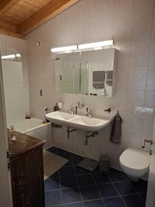 Les balcons du Rhône