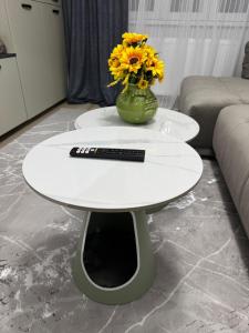 Modern Nest By David