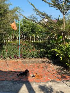 PHẠM Homestay Ca Mau