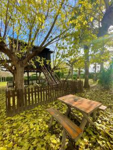 Nature Tree House Casa sobre los árboles