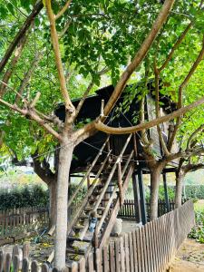 Nature Tree House Casa sobre los árboles