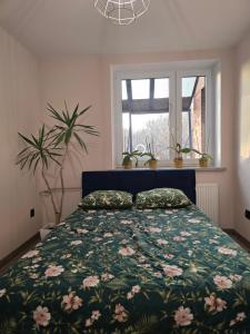 Gryfny Loft przy Wujku