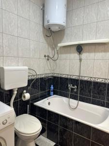 Stan na dan Mitrić Loznica