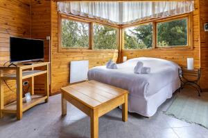 BOG Altos de Antilhue - Apart con vista al bosque