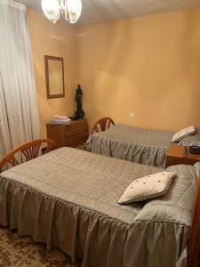 Tempranillo in Rioja Alavesa