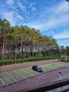 Apart Vista Azul - Conforto com a vista para a mata de pinheiros