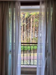 Apart Vista Azul - Conforto com a vista para a mata de pinheiros