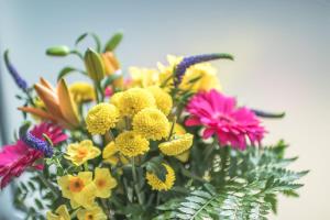 The Attic, Tre-Pol-Pen