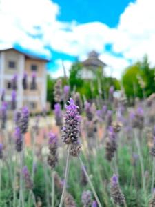 Apto Sossego nas Montanhas, Wi-fi e Conforto