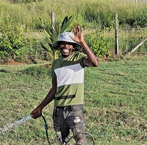 Beachfront villa with pool and staff