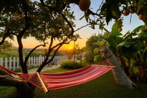 Hotel Altea Paradise 1917 - Adults Only