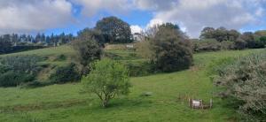 Quinta da pêra rocha