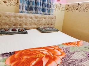 Xaviers guesthouse Wi-Fi and Villa