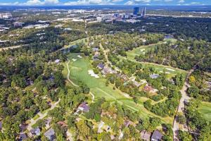 Luxury House in the Woodlands