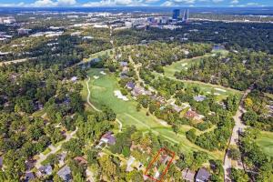 Luxury House in the Woodlands