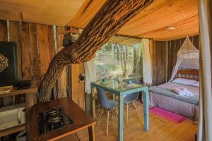 Quinta do Vale- Cabana dos Esquilos: Lago, Cascata