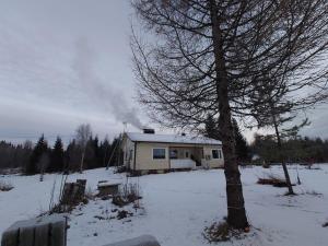 Do you like peace and silence