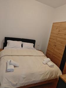 Main apartment Pazari Ri Tirane