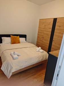 Main apartment Pazari Ri Tirane