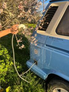 rent a campervan vw t3 azul in Algarve Portugal