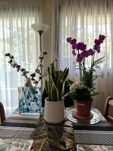 Joli appartement 49 m² proche centre Paris,