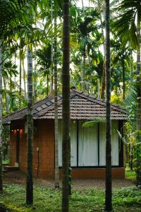 Arika Goa