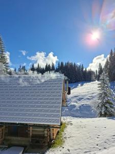 Brunarica na Goreljeku, Pokljuka