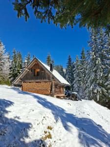 Brunarica na Goreljeku, Pokljuka
