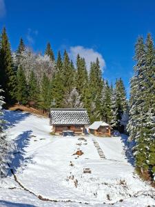 Brunarica na Goreljeku, Pokljuka