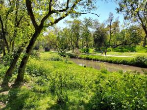 La Terrasse du Marché