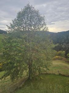 Gästehaus in ruhiger Lage zum Entspannnen
