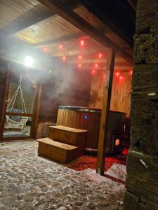 Siedlisko pod brzozami