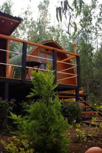 Silua Eco glamping