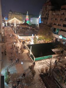 Central Home Apartment