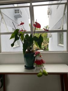 Pé na Areia, condominio Lazari