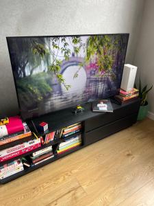 Luxurious 2 Bed 2 Bath Woolstore apartment