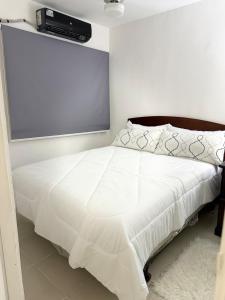 Apartamento en Santo Domingo Pablo mella morales