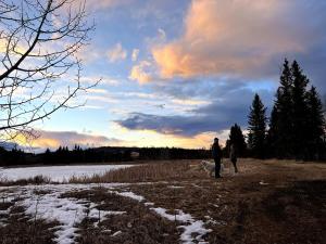 Shanti Yurt with private hot tub in Bragg Creek