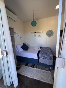 Capim Limão Containers do Rosa